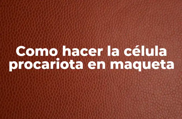 Como Hacer la Célula Procariota en Maqueta