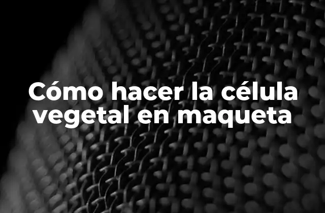 Cómo Hacer la Célula Vegetal en Maqueta