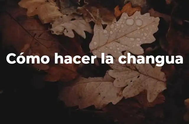 Cómo Hacer la Changua