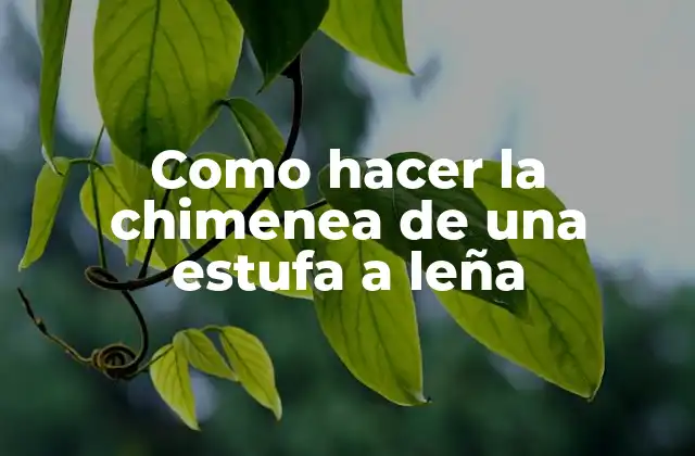 Como Hacer la Chimenea de una Estufa a Leña 2 La chimenea de una estufa a leña