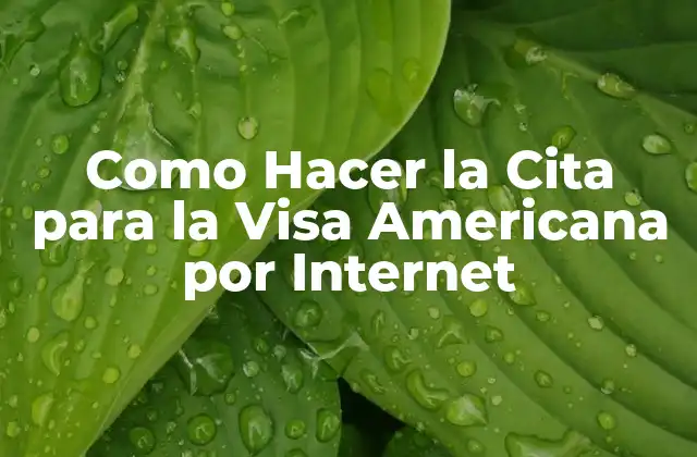 Como Hacer la Cita para la Visa Americana por Internet