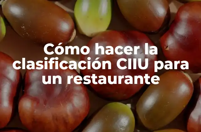 Cómo Hacer la Clasificación Ciiu para un Restaurante