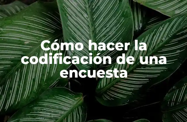 Cómo Hacer la Codificación de una Encuesta