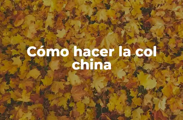 Cómo Hacer la Col China