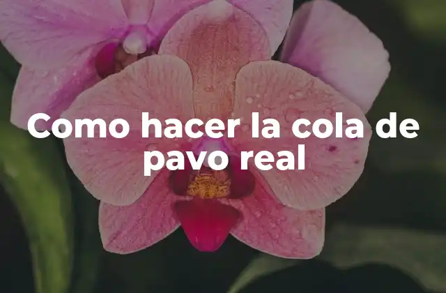 ¿Qué es una cola de pavo real?