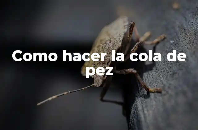 La cola de pez es un adhesivo natural