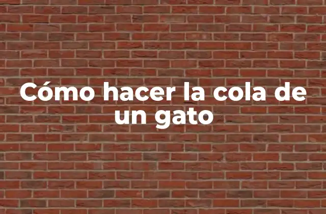 Cómo Hacer la Cola de un Gato