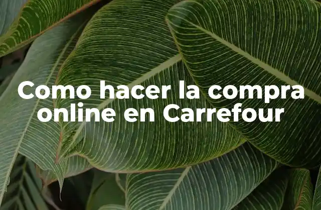 Como Hacer la Compra Online en Carrefour