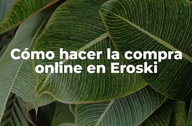 Cómo Hacer la Compra Online en Eroski
