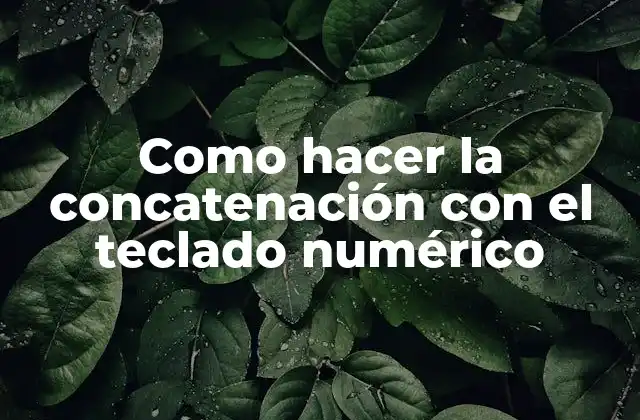 Como Hacer la Concatenación con el Teclado Numérico