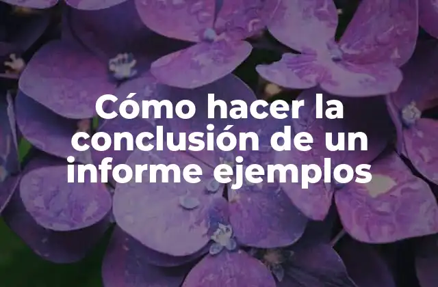 Cómo hacer la conclusión de un informe ejemplos