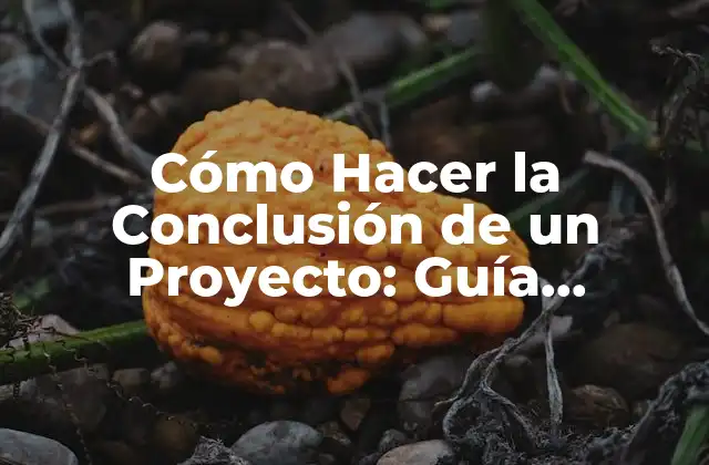 Cómo Hacer la Conclusión de un Proyecto: Guía Detallada y Completa