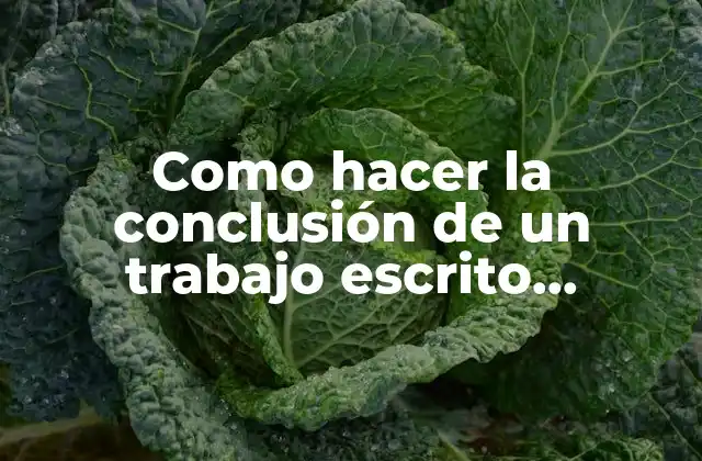 Como Hacer la Conclusión de un Trabajo Escrito Ejemplos