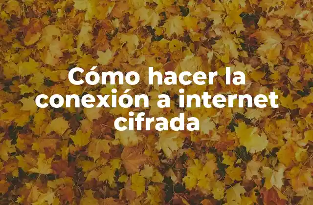 Cómo Hacer la Conexión a Internet Cifrada