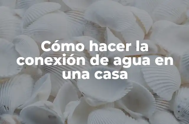 Cómo Hacer la Conexión de Agua en una Casa