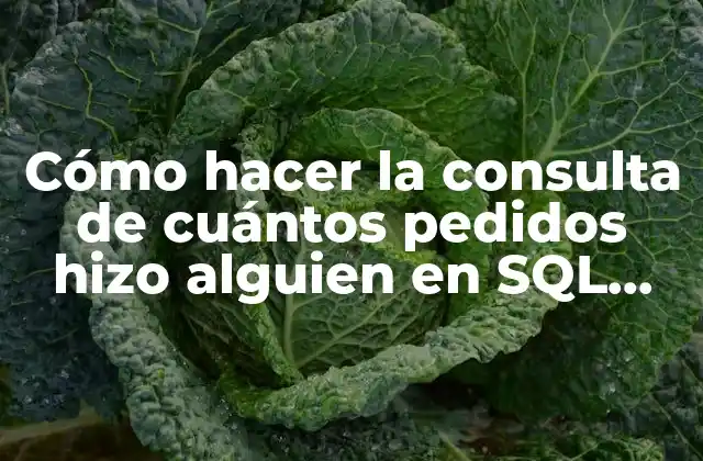 Cómo Hacer la Consulta de Cuántos Pedidos Hizo Alguien en Sql Server