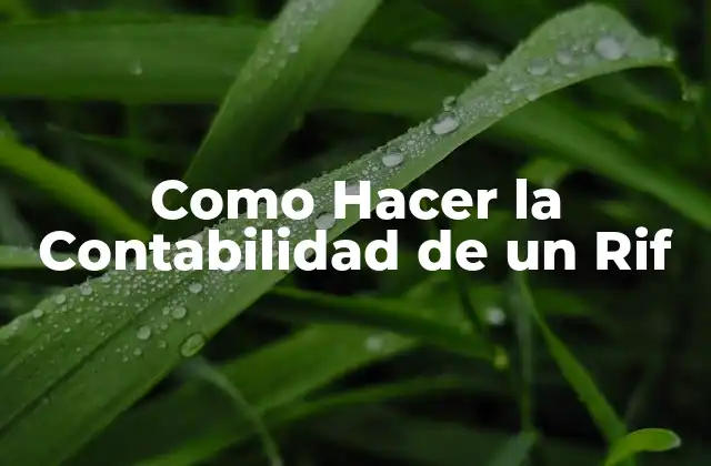 Como Hacer la Contabilidad de un Rif