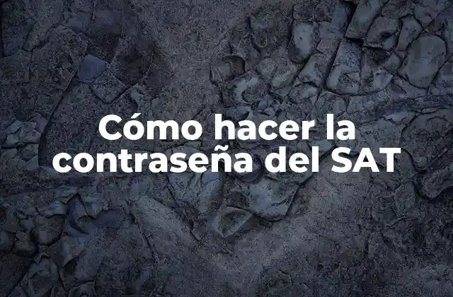 Cómo Hacer la Contraseña Del Sat