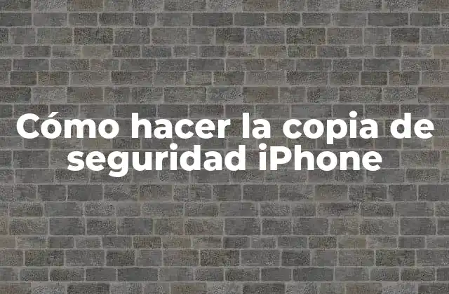 Cómo Hacer la Copia de Seguridad Iphone