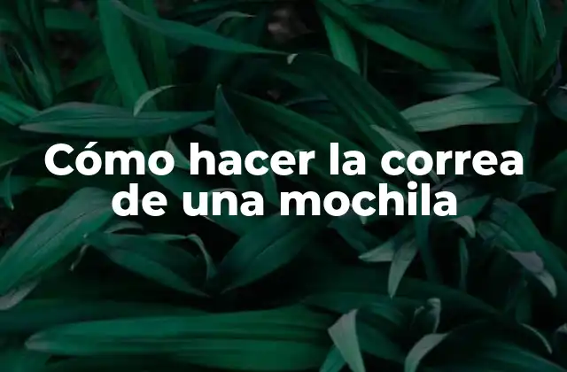 Cómo Hacer la Correa de una Mochila