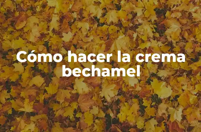 Cómo Hacer la Crema Bechamel