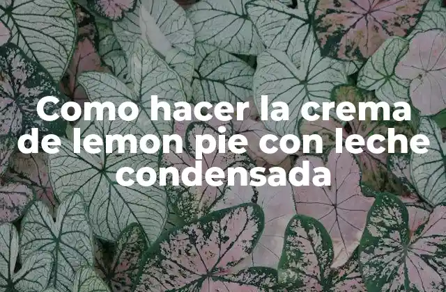 Como Hacer la Crema de Lemon Pie con Leche Condensada