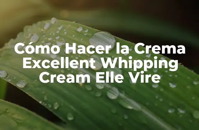 Cómo Hacer la Crema Excellent Whipping Cream Elle Vire