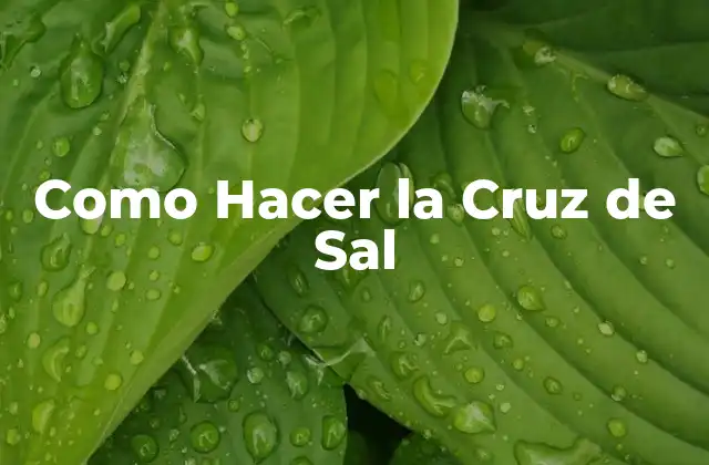 ¿Qué es una Cruz de Sal?