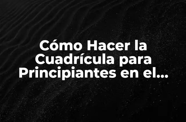 Cómo Hacer la Cuadrícula para Principiantes en el Dibujo