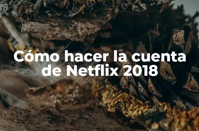 Cómo Hacer la Cuenta de Netflix 2018