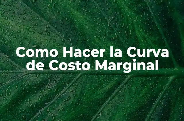 Como Hacer la Curva de Costo Marginal
