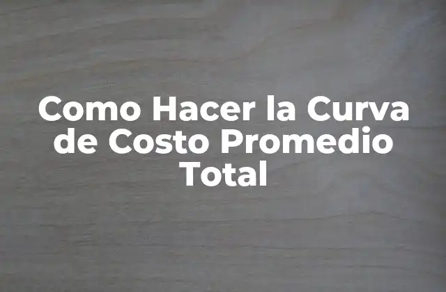 Como Hacer la Curva de Costo Promedio Total