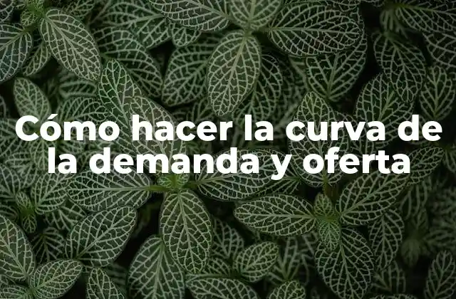 Cómo Hacer la Curva de la Demanda y Oferta