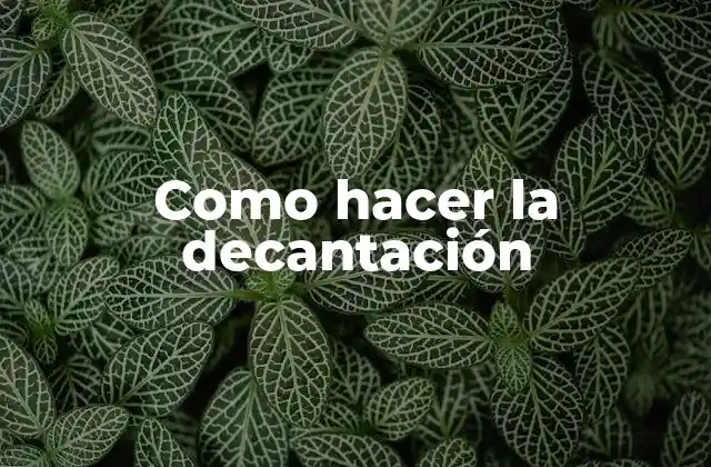 Como Hacer la Decantación 2 La decantación: qué es, para qué sirve y cómo se utiliza