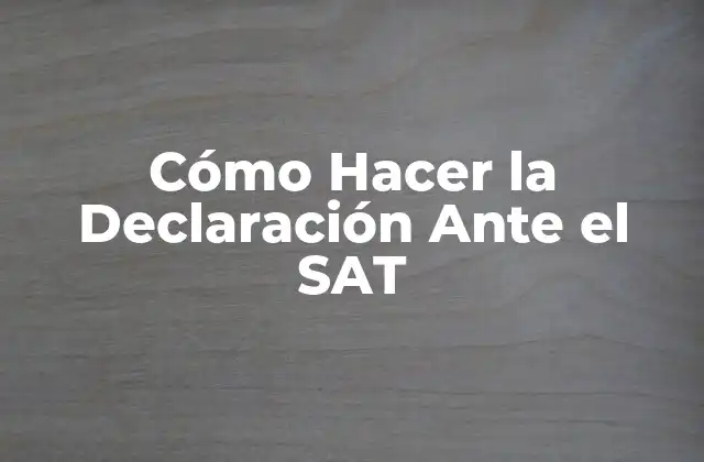 Cómo Hacer la Declaración ante el Sat