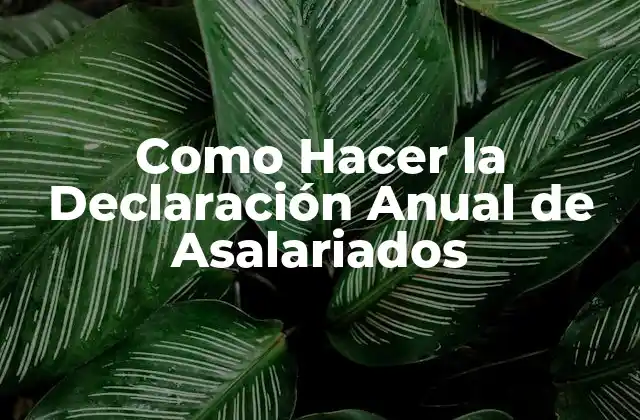 Como Hacer la Declaración Anual de Asalariados
