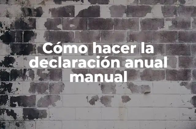 Cómo Hacer la Declaración Anual Manual 2 ¿Qué es la declaración anual manual y para qué sirve?