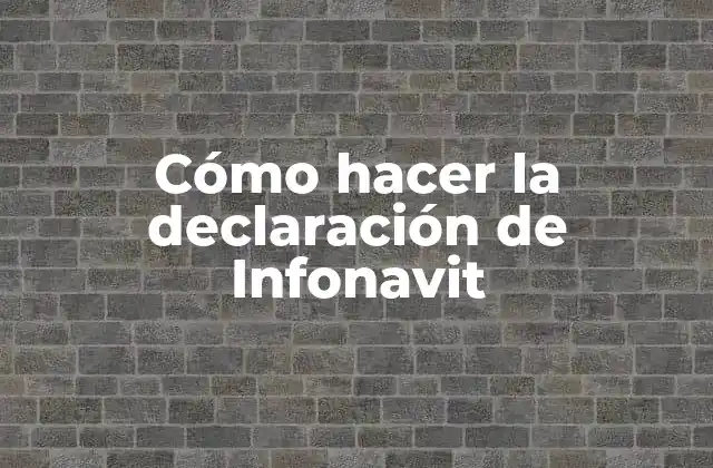 Cómo Hacer la Declaración de Infonavit