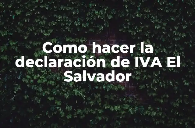Como Hacer la Declaración de Iva el Salvador
