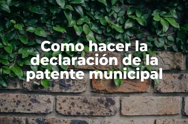 Como Hacer la Declaración de la Patente Municipal