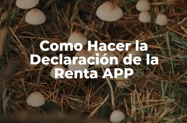 Como Hacer la Declaración de la Renta App