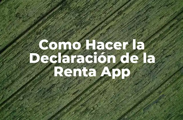 Como Hacer la Declaración de la Renta App