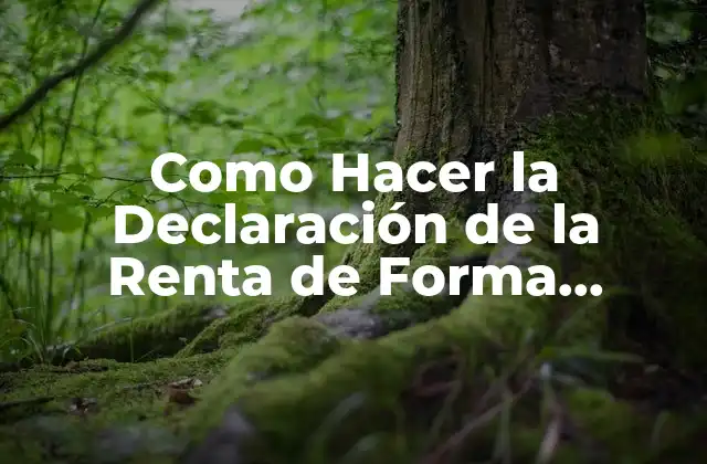 Como Hacer la Declaración de la Renta de Forma Presencial