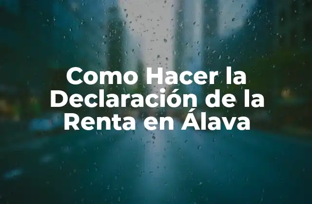 Como Hacer la Declaración de la Renta en Álava