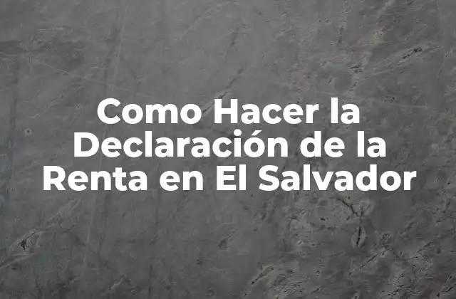 Como Hacer la Declaración de la Renta en el Salvador