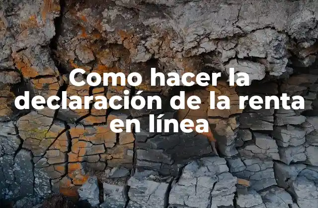 Como Hacer la Declaración de la Renta en Línea