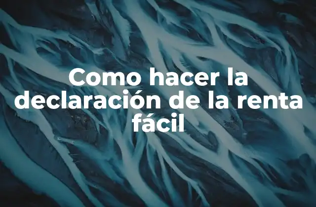 Como Hacer la Declaración de la Renta Fácil