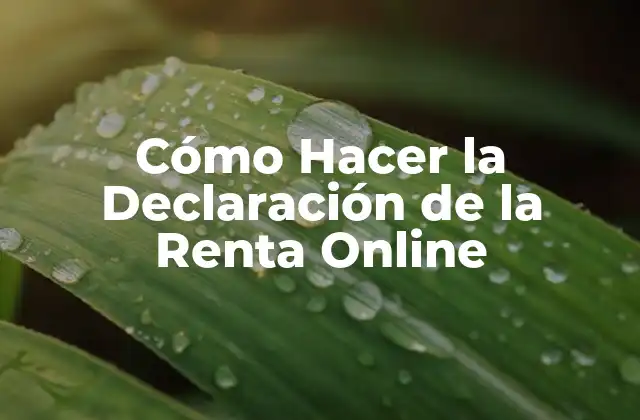 Cómo Hacer la Declaración de la Renta Online