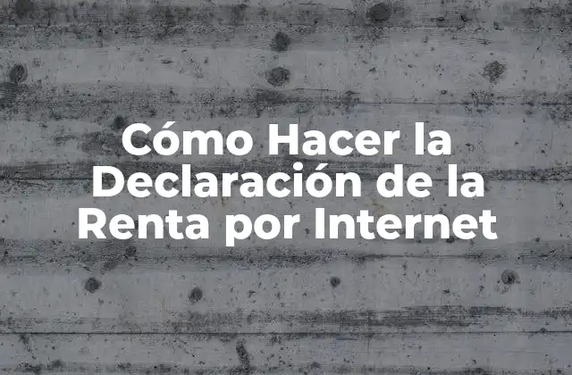 Cómo Hacer la Declaración de la Renta por Internet