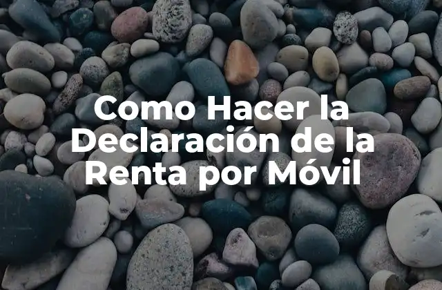 ¿Qué es la Declaración de la Renta por Móvil?